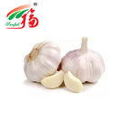 Garlic Oil For Animal Food Herbal Plant Extract