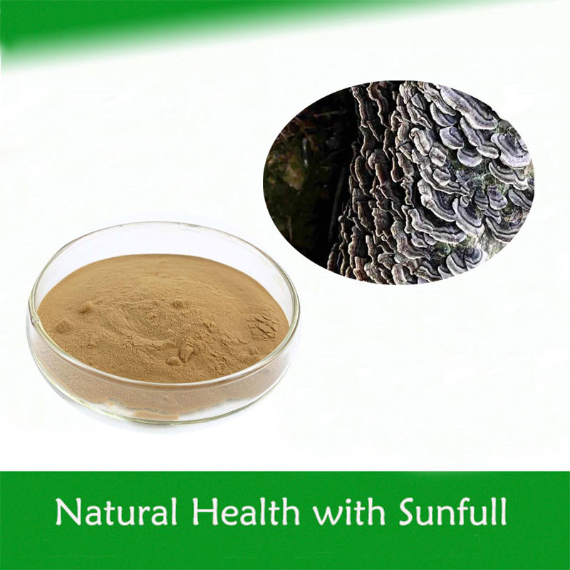 Coriolus Versicolor Ekstraktı% 10~50% Polysacchrides PSK PSP Türkiye kuyruğu Mantar Ekstraktı