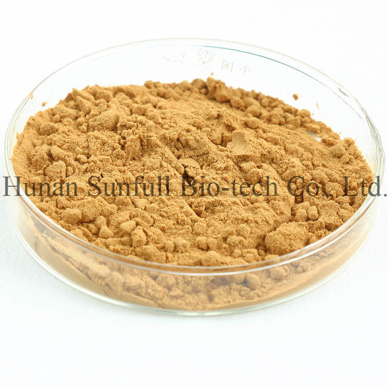 Ginkgo Biloba Yaprak Ekstrakti 24/6 CAS 90045-36-6 Cp USP561 Ep EC396