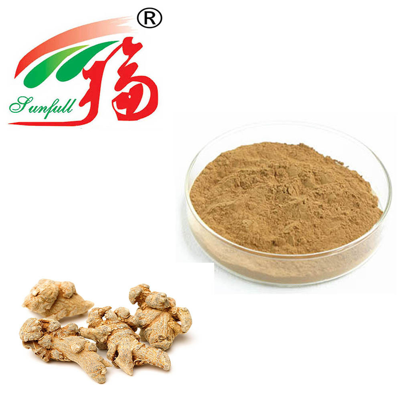 Kılıç benzeri Atractylodes Rhizome Extract 10: 1