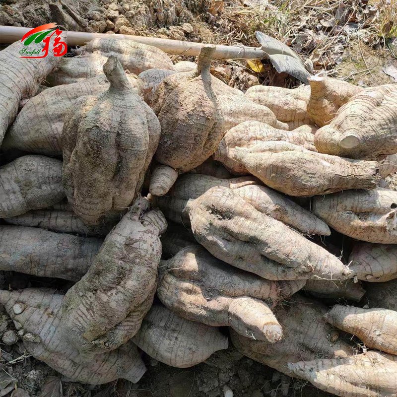 Çin Fabrikası Doğal Kudzu Kök Ekstraktı Puerarin % 25 % 60 % 98