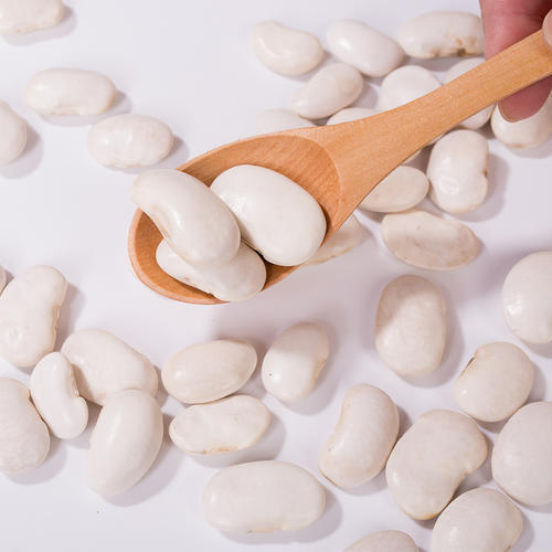 Premium Beyaz Fasulye Ekstresi (Phaseolus Vulgaris) - Kilo Yönetimi ve Kan Şekeri Kontrolü için Yüksek Saflıkta α-Amilaz İnhibitörü