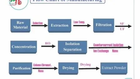 Astım Karşıtı Fonksiyonel Gıda İçin %10 Polisakkarit İçeren Cordyceps Sinensis Ekstresi Tozu, İnce Kahverengi Sarı Toz