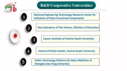 Gıda Sınıfı Uygulamalar için Suda İyi Çözünürlüğe Sahip İnce Kahverengi Sarı Toz Bal Mantarı Ekstresi