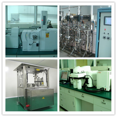 Cordyceps Mantar Tozu 80 Bağışıklık Desteği için Ağ 25kg Davul