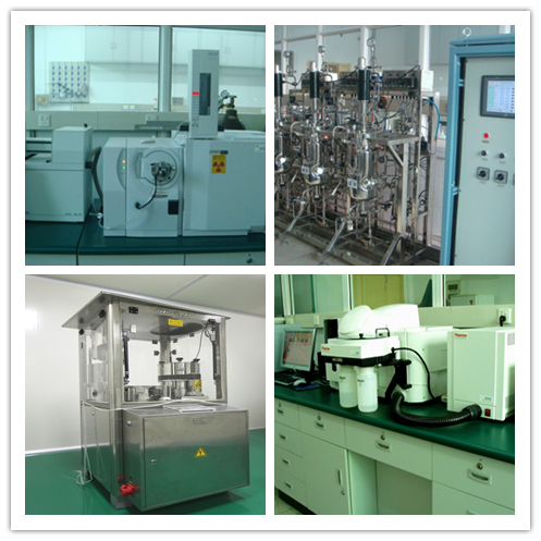 2 Yıl Raf Ömrüne Sahip, 80 Mesh ve Yıllık 20 Ton Üretim Kapasiteli Coprinus Comatus Ekstresi Tozu