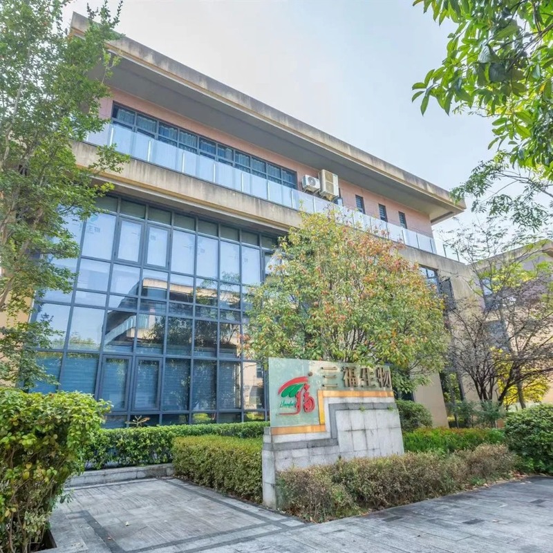 2 Yıl Raf Ömrüne Sahip, 80 Mesh ve Yıllık 20 Ton Üretim Kapasiteli Coprinus Comatus Ekstresi Tozu