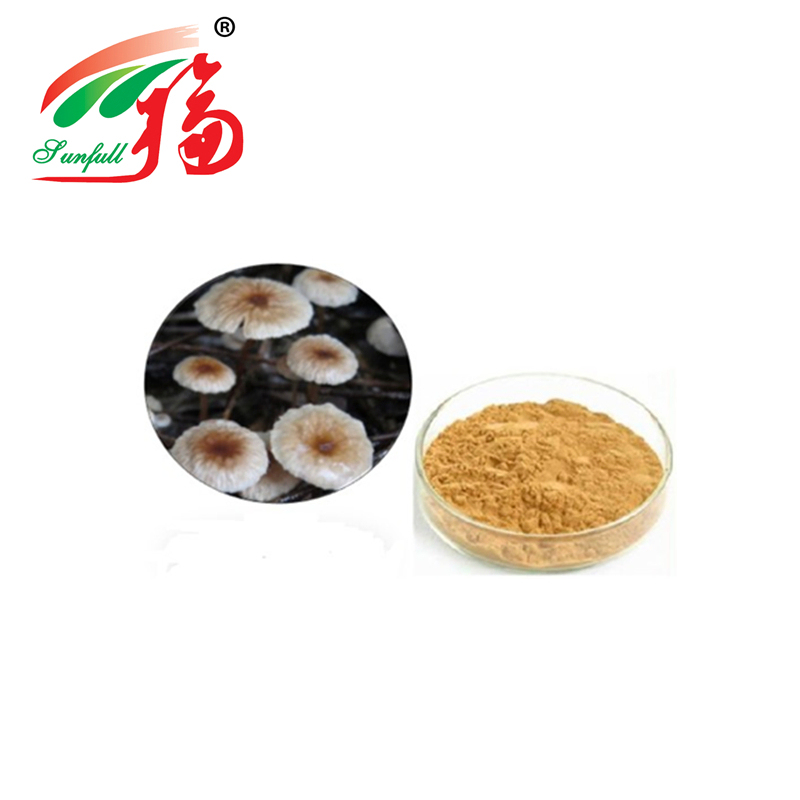 Yüksek Kaliteli Marasmius Androsaceus Ekstrakt Tozu, 80 Açı Boyutu 2 Yıllık Yaşam Süresi ve Yıllık 20 Tonluk Üretim Kapasitesi