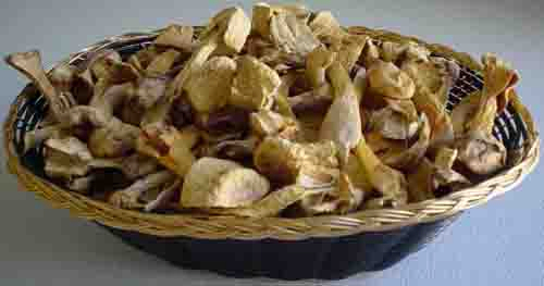 Fonksiyonel Gıda ve Sağlık Bakım Ürünleri için 50% Polisaharitli Agaricus Blazei Ekstrakt Tozu