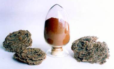 Coriolus Versicolor Extract, Kan Şekerini Düzenlemek ve Mantarı Azaltmak İçin İşlevsel Gıdalar İçin %50 Polisaharit