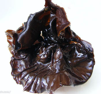 Fonksiyonel Gıda ve Sağlık Ürünleri için %40 Polisakkarit İçeren Siyah Mantar Ekstresi Tozu, Kan Şekerini Düzenleyici ve Hipolipidemik Etkiler