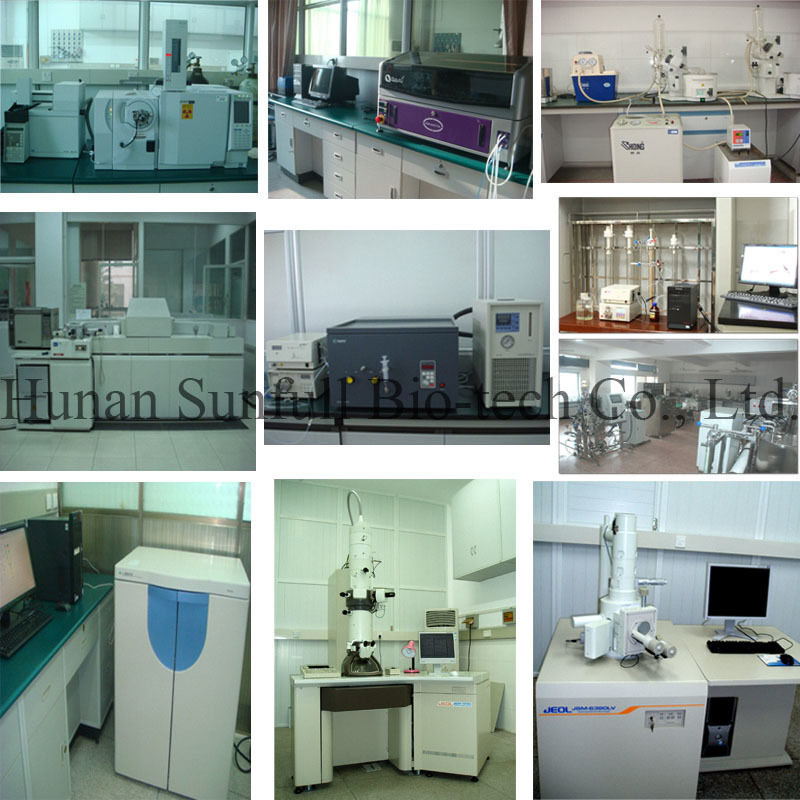 98% Purity Andrographis Paniculata Extract Andrographolide with Anti-Pathogenic Microbial and Anti-Inflammatory Effects