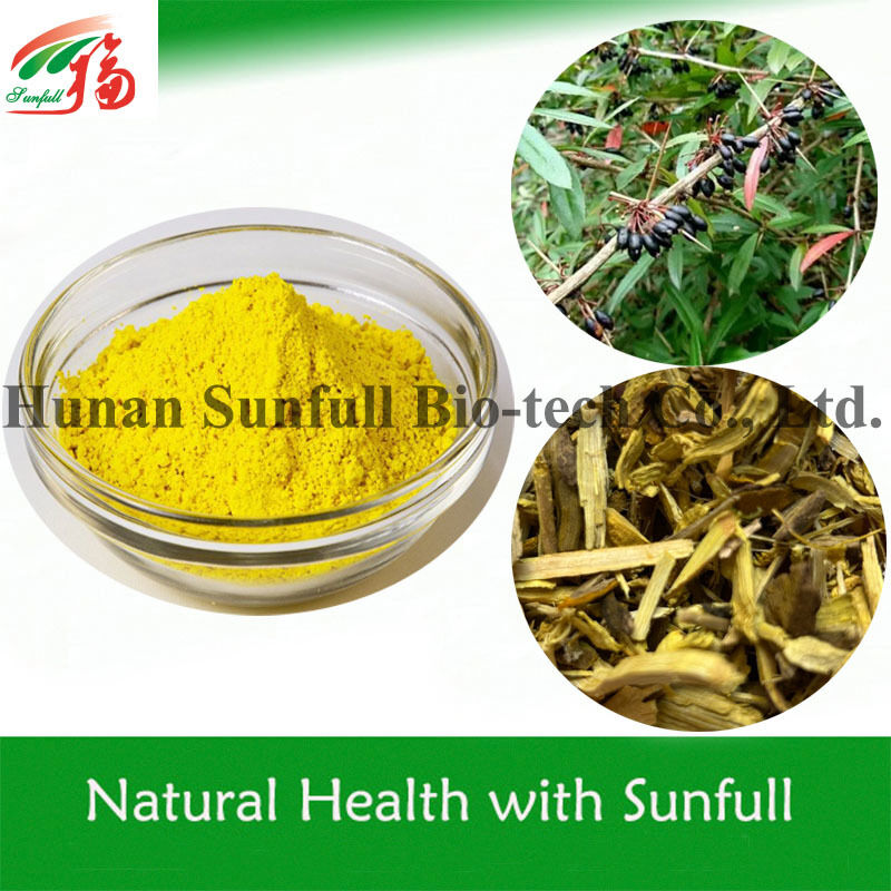 Antibakteriyel Ekstrakt Berberin Hidroklorür Berberis türünden (Barberry) sarı kristal toz, CAS numarası 633-65-8