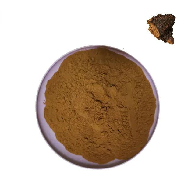 Chaga Extract 10% Polysaccharides Fonksiyonel Gıda ve Sağlık Bakım Ürünleri için İnce Kahverengi Sarı Toz