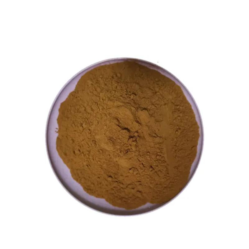 Chaga Extract 10% Polysaccharides Fonksiyonel Gıda ve Sağlık Bakım Ürünleri için İnce Kahverengi Sarı Toz