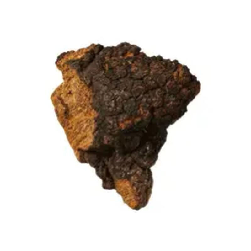 Chaga Extract 10% Polysaccharides Fonksiyonel Gıda ve Sağlık Bakım Ürünleri için İnce Kahverengi Sarı Toz