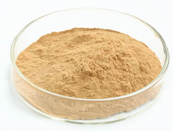 Fonksiyonel gıdalarda tümörle mücadele ve kan şekeri düzenlemesi için % 40 polisakarit içeren istiridye mantarı ekstresi tozu