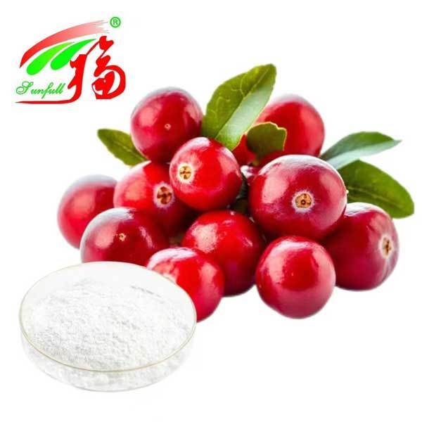 Bearberry Extract Kozmetik katkı maddeleri Bitki Ekstraktı 98% Ursolic Asit Ursi Ekstraktı Bearberry Yaprak Ekstraktı Cilt Bakımı Fabrikası Tedarikleri 25~98% Arbutin Tozu