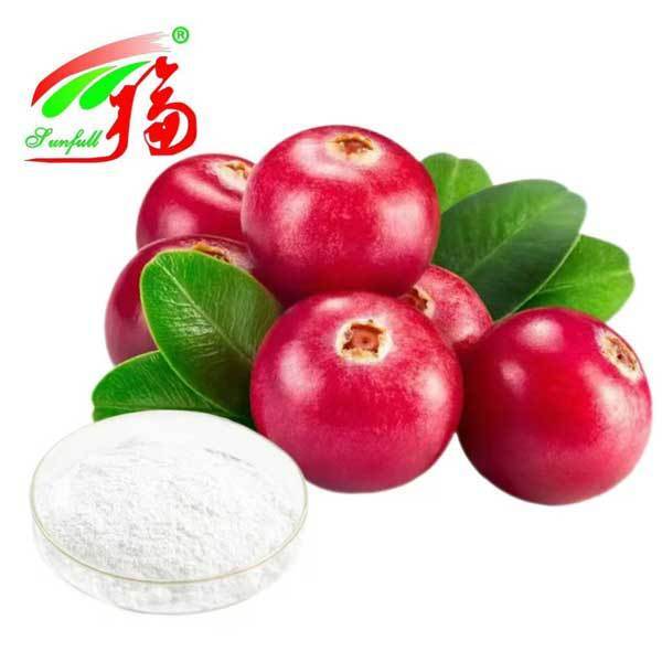Bearberry Extract Kozmetik katkı maddeleri Bitki Ekstraktı 98% Ursolic Asit Ursi Ekstraktı Bearberry Yaprak Ekstraktı Cilt Bakımı Fabrikası Tedarikleri 25~98% Arbutin Tozu
