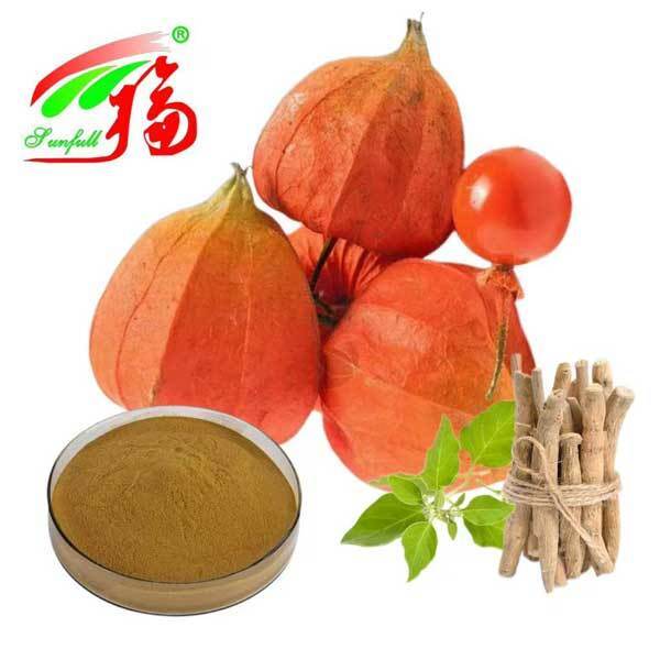 Withania Somnifera Güney Afrika Withanolides %5 Ashwagandha Kök Ekstresi Gıda Sağlık Ürünleri