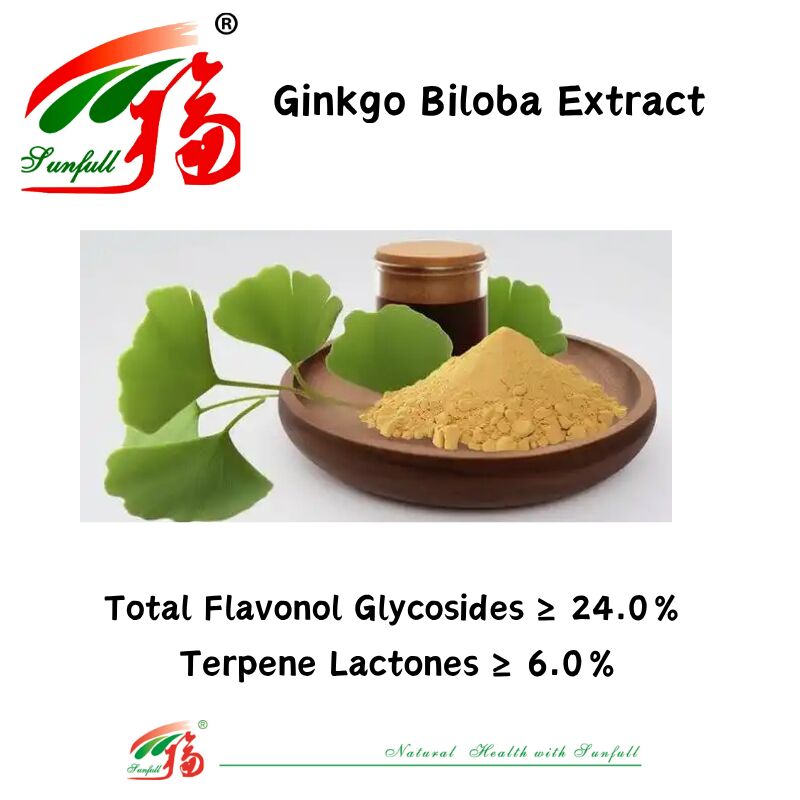 Ginkgo Biloba Yaprak Ekstraktı Tozu Ginkgo Biloba Yaprak Ekstraktı
