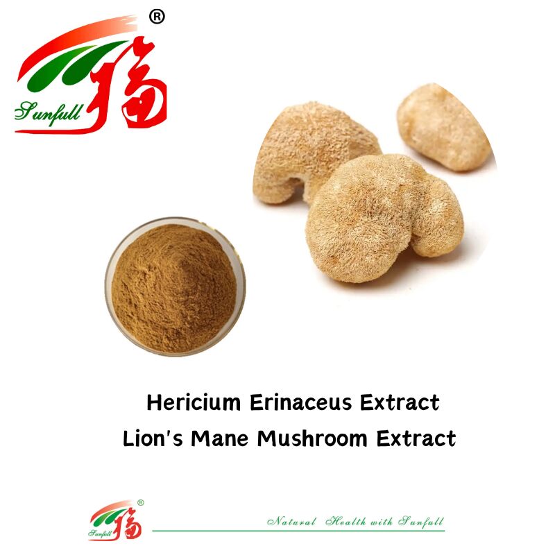 Hunan Sunfull Gıda Takviyeleri Agaricus Subrufescens/Hericium Erinaceus/Antrodia/Cordyceps Sinensis/Coriolus Versicolor/Manjura Ekstraksi Tozu
