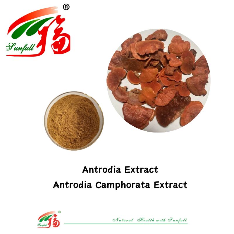 Hunan Sunfull Gıda Takviyeleri Agaricus Subrufescens/Hericium Erinaceus/Antrodia/Cordyceps Sinensis/Coriolus Versicolor/Manjura Ekstraksi Tozu