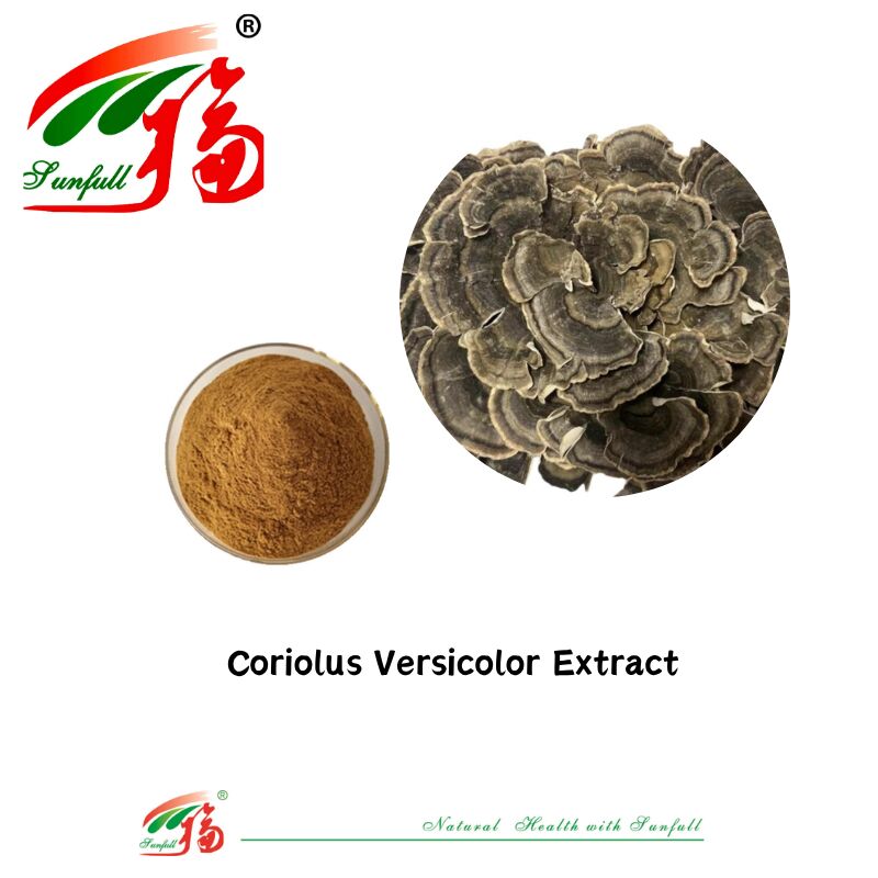 Hunan Sunfull Gıda Takviyeleri Agaricus Subrufescens/Hericium Erinaceus/Antrodia/Cordyceps Sinensis/Coriolus Versicolor/Manjura Ekstraksi Tozu