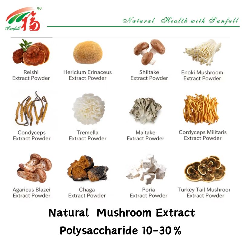 Doğal Organik Bileşen Diyet Takviyeleri Polisaharid 10-30% Phellinus Igniarius /Ganoderma Lucidum/Chaga/Maitake / Shiitake Mantar Ekstraksi Tozu