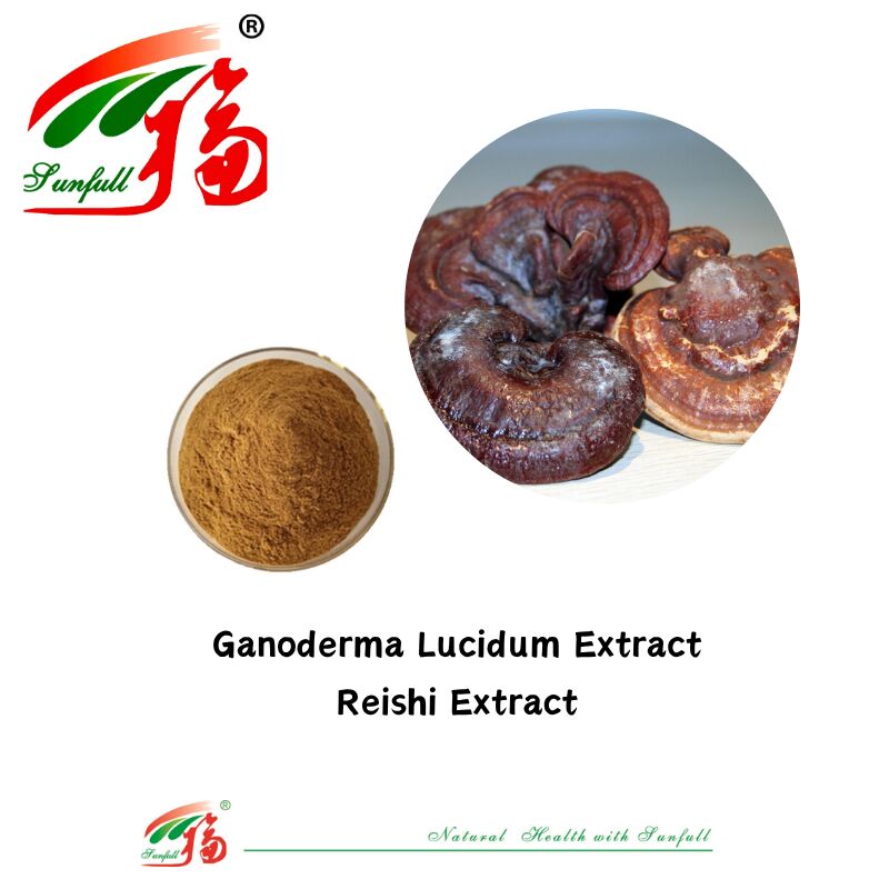 Doğal Organik Bileşen Diyet Takviyeleri Polisaharid 10-30% Phellinus Igniarius /Ganoderma Lucidum/Chaga/Maitake / Shiitake Mantar Ekstraksi Tozu