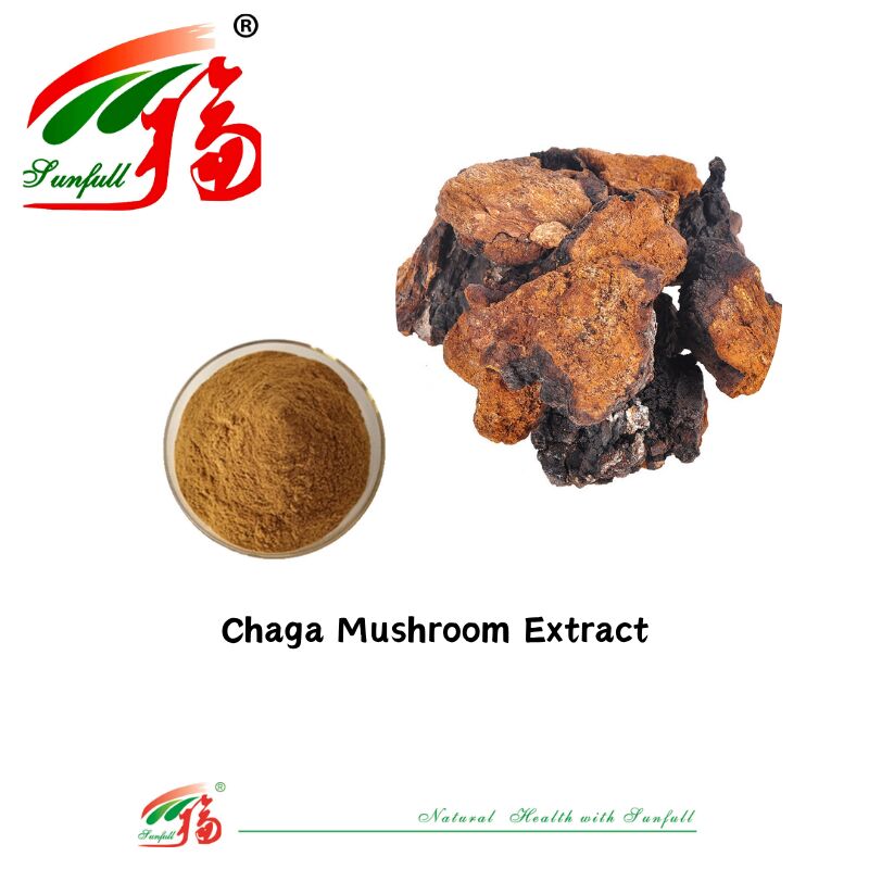 Doğal Organik Bileşen Diyet Takviyeleri Polisaharid 10-30% Phellinus Igniarius /Ganoderma Lucidum/Chaga/Maitake / Shiitake Mantar Ekstraksi Tozu