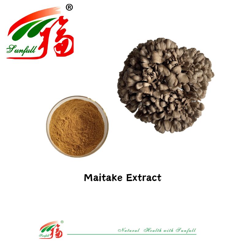 Doğal Organik Bileşen Diyet Takviyeleri Polisaharid 10-30% Phellinus Igniarius /Ganoderma Lucidum/Chaga/Maitake / Shiitake Mantar Ekstraksi Tozu