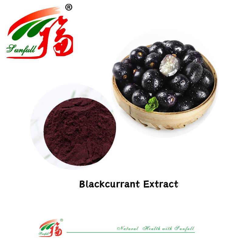 Hunan Sunfull Fabrika Tedarik Yüksek Kaliteli Doğal Antioksidanlar Antosiyaninler 1%-25% Yaban Mersini/Mürver/Acai Berry/Frenk Üzümü/Yabanmersini Özü