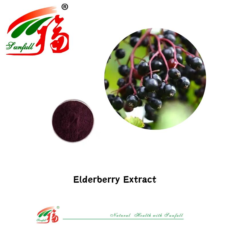 Hunan Sunfull Fabrika Tedarik Yüksek Kaliteli Doğal Antioksidanlar Antosiyaninler 1%-25% Yaban Mersini/Mürver/Acai Berry/Frenk Üzümü/Yabanmersini Özü