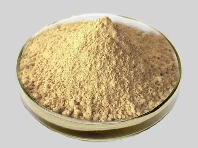 Bitki Silybum Marianum Bitki Kutsanmış Çamurtalık Tohumu Tozu % 30 Silybinler HPLC UV % 40 ~ % 80 Liposom % 40 ~ % 80 Kalp Sağlığı İçin Silymarin Süt Çamurtası Ekstraksi