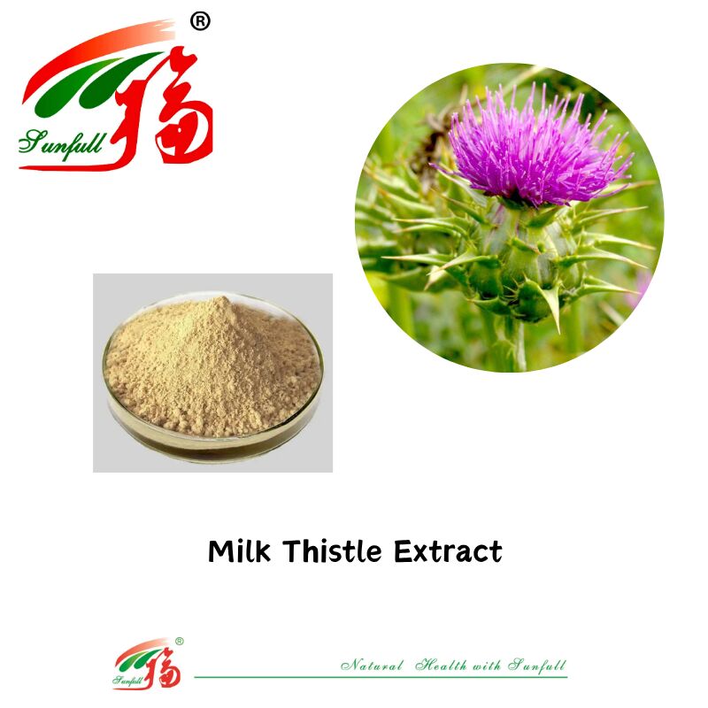 Bitki Silybum Marianum Bitki Kutsanmış Çamurtalık Tohumu Tozu % 30 Silybinler HPLC UV % 40 ~ % 80 Liposom % 40 ~ % 80 Kalp Sağlığı İçin Silymarin Süt Çamurtası Ekstraksi