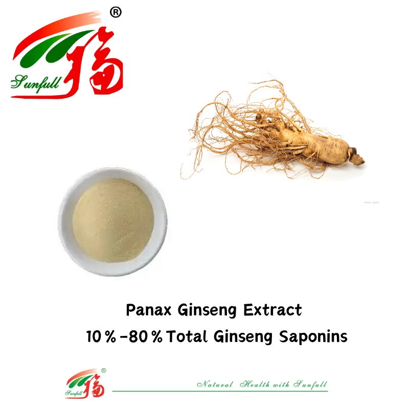 Sunfull Üreticisi Ücretsiz Örnek Geleneksel Çin Tıpı Organik HPLC 10% 80% Ginsenosidler Amerikan Ginseng / Kore Ginseng Ekstraksi / Panax Ginseng Ekstraksi