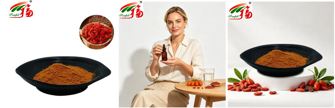 Doğal Çinli Diyet Takviyeleri Antosiyanin 1-25% Polisaşaridler 10%-50% Lizyum Barbarum Ekstraksi Wolfberry Ekstraksi/Goji Berry Ekstraksi