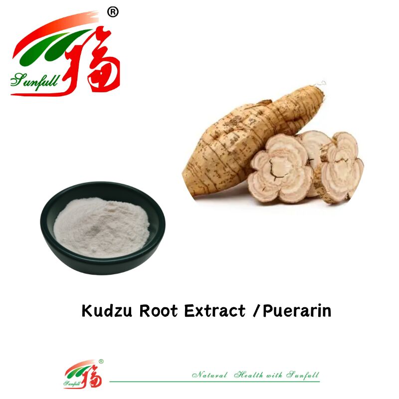 Ücretsiz Örnek Yüksek Kaliteli Kudzu Kök Ekstraksi Pueraria Lobata Ekstraksi Puerarin 10% -98% CAS 3681-99-0