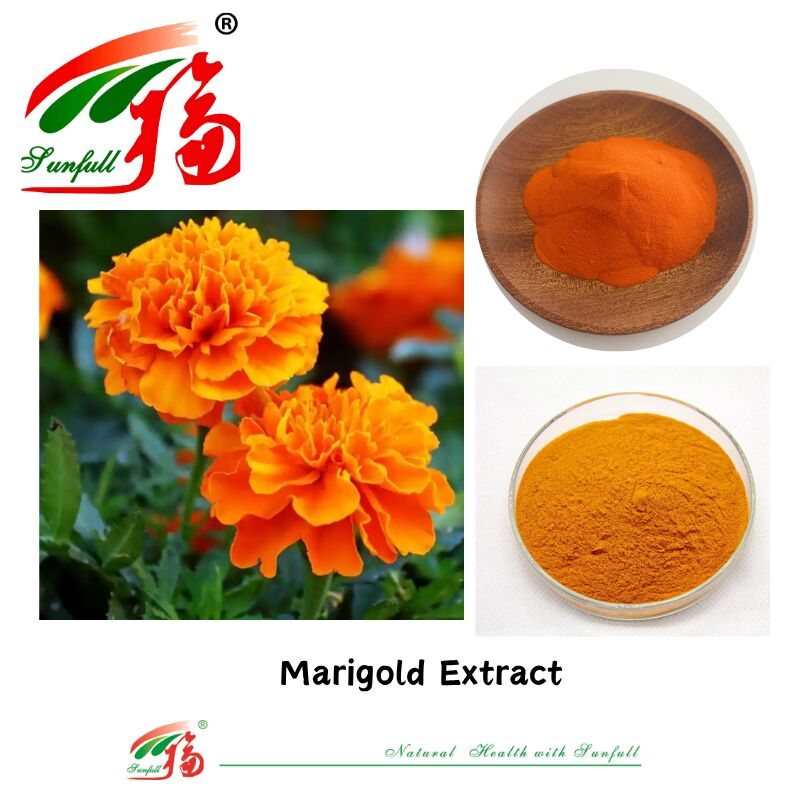Doğal Malzemeler Göz Sağlığı Gıda Sınıfı Zeaxanthin % 5 Suda çözünür Lutein % 5 HPLC Marigold Çiçeği Ekstraksi