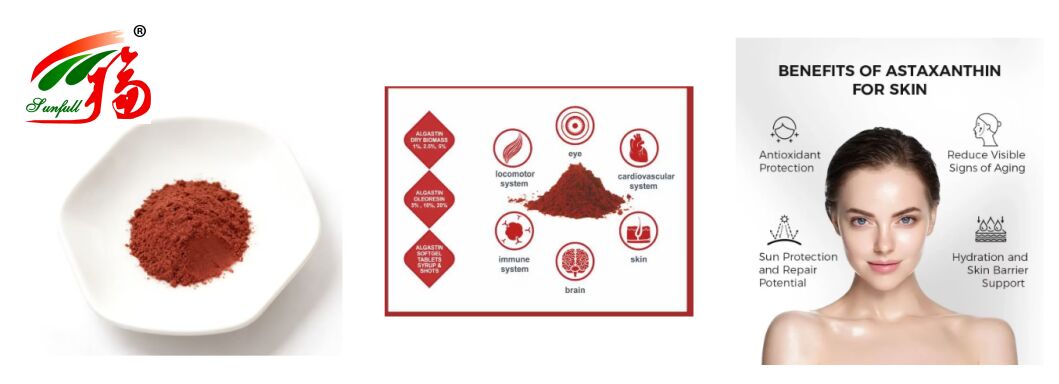 Sunfull Gıda Derecesi Antioksidan Sağlık Tedarikleri Yüksek Kalite 1% -10% Doğal Haematococcus Pluvialis Ekstraksiyonu/Astaxanthin Tozu