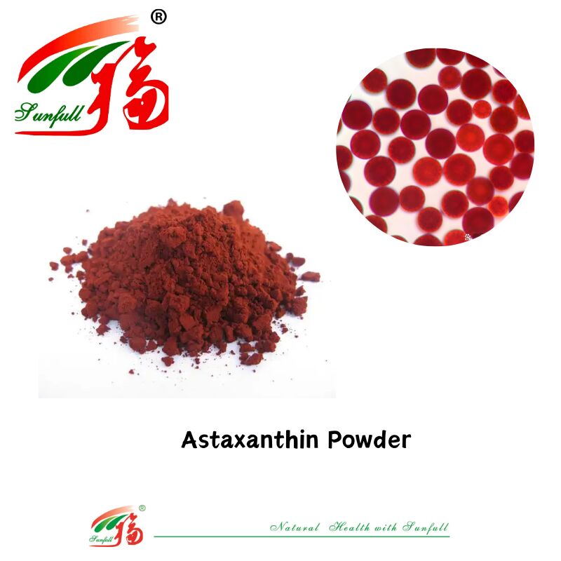 Sunfull Gıda Derecesi Antioksidan Sağlık Tedarikleri Yüksek Kalite 1% -10% Doğal Haematococcus Pluvialis Ekstraksiyonu/Astaxanthin Tozu