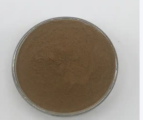 ISO/Kosher Sindirimini Artırır Gıda Sınıflı Cassia Tohumu Ekstrakti 10: 1 / 20% HPLC Sennosides Senna Yaprak Ekstrakti