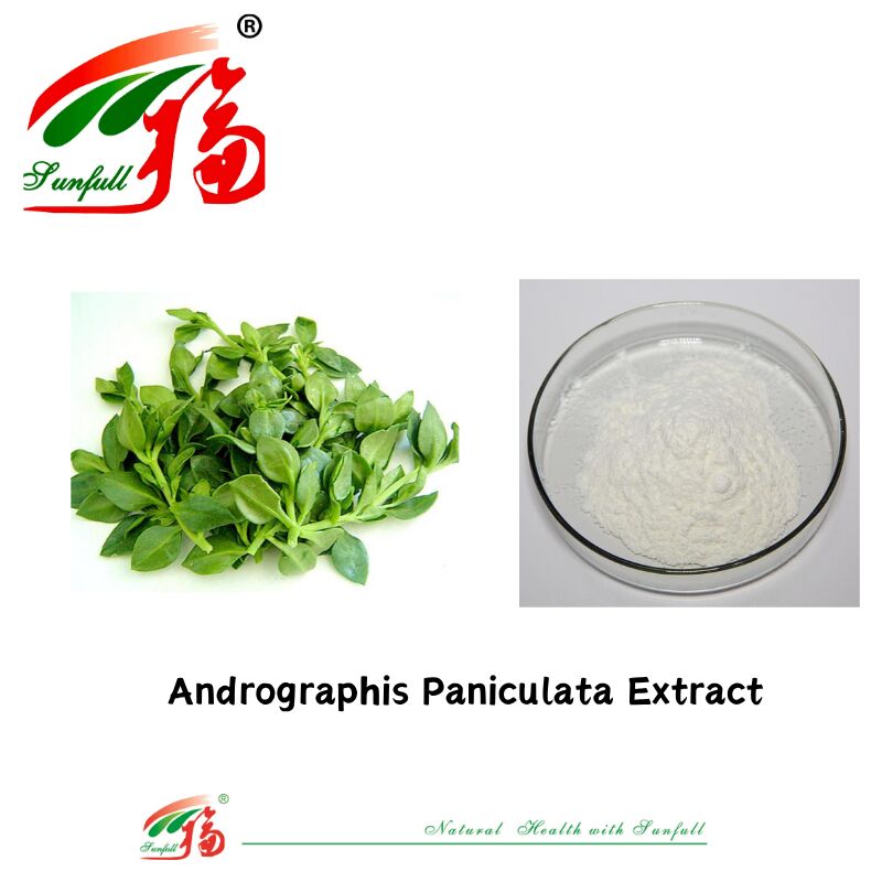 Toplu Satış En İyi Fiyat Doğal Besin Katkı maddesi Toplu Satış En İyi Fiyat Doğal Besin Katkı maddesi 95% Andrographis Paniculata Extract CAS No 5508-58-7
