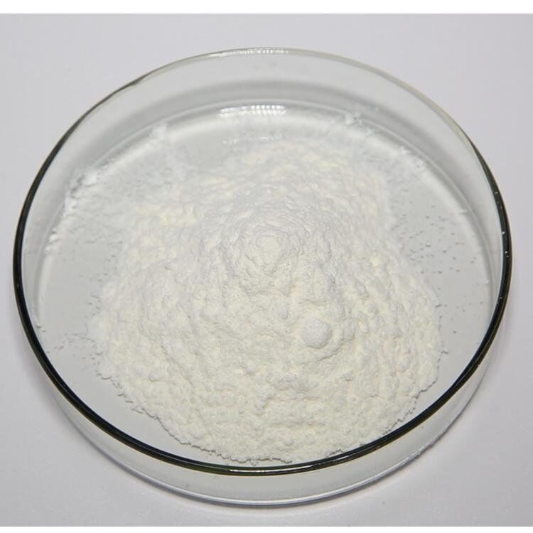 Toplu Satış En İyi Fiyat Doğal Besin Katkı maddesi Toplu Satış En İyi Fiyat Doğal Besin Katkı maddesi 95% Andrographis Paniculata Extract CAS No 5508-58-7