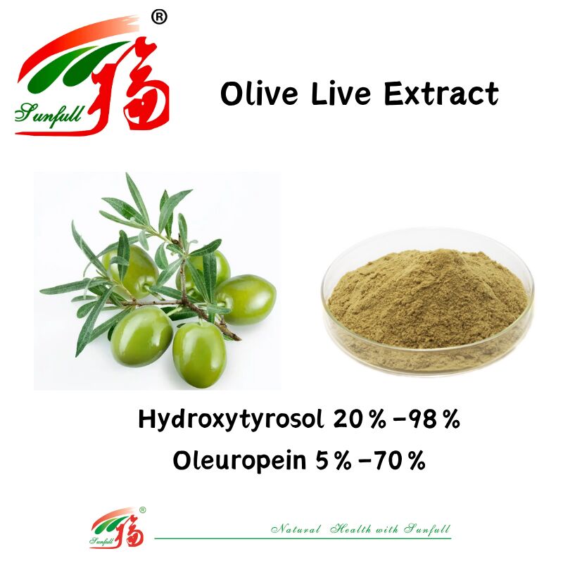 % 100 Doğal Gıda Sınıfı Sağlık Takviyeleri Fabrika Tedarik % 80 Oleuropein /% 5 ~% 20 Hidroksitirozol Zeytin Yaprağı Ekstresi