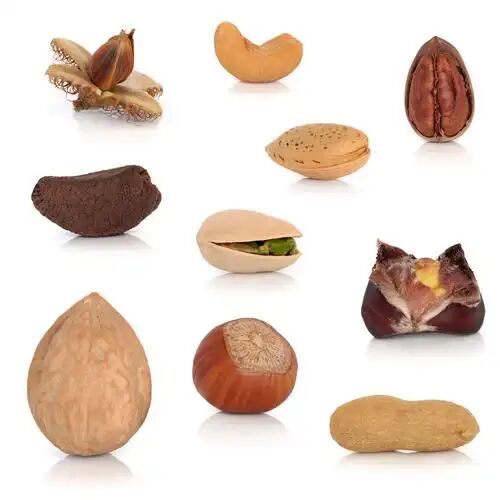 (Authentic Flavour & Aroma / Rich in Protein & Healthy Fats) Premium Doğal Gıda ve İçecek Bileşeni Cevizler/Fıstıklar/Cashews/Bademler/Yunus/Hazelnut Tozu