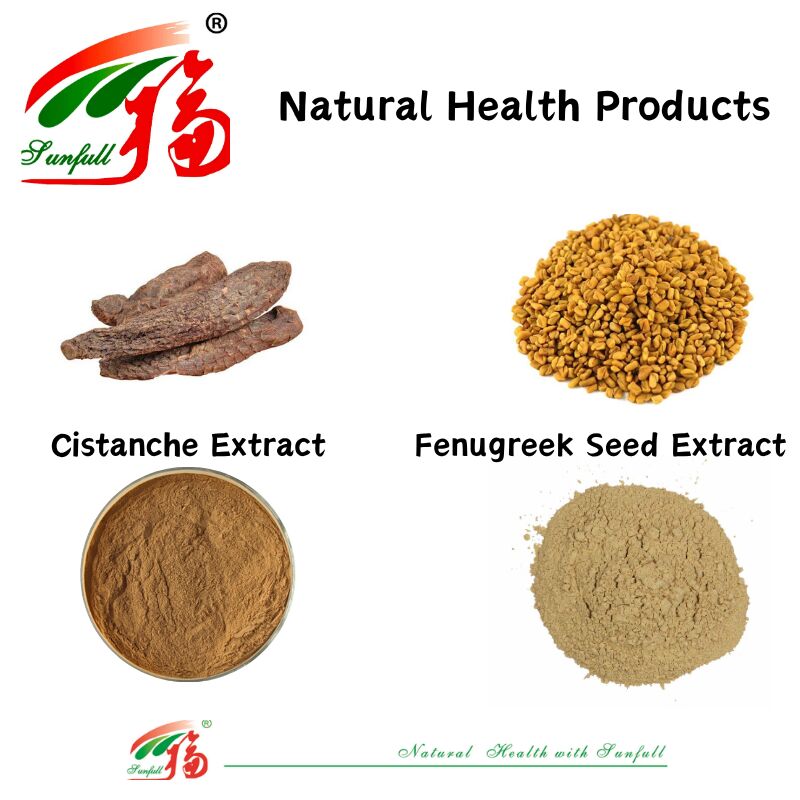Erkek Sağlığını Geliştirin Doğal Yüksek Kaliteli Fenugreek Tohumu Ekstraktı Saponins 20% / Phenylethanoid Glycosides 40% / Echinacoside 8% Cistanche Ekstraktı