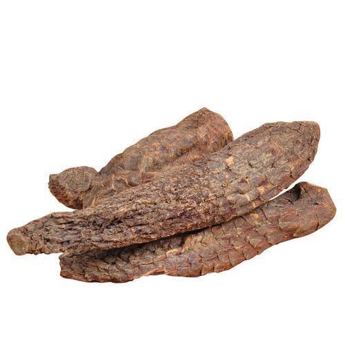 Erkek Sağlığını Geliştirin Doğal Yüksek Kaliteli Fenugreek Tohumu Ekstraktı Saponins 20% / Phenylethanoid Glycosides 40% / Echinacoside 8% Cistanche Ekstraktı