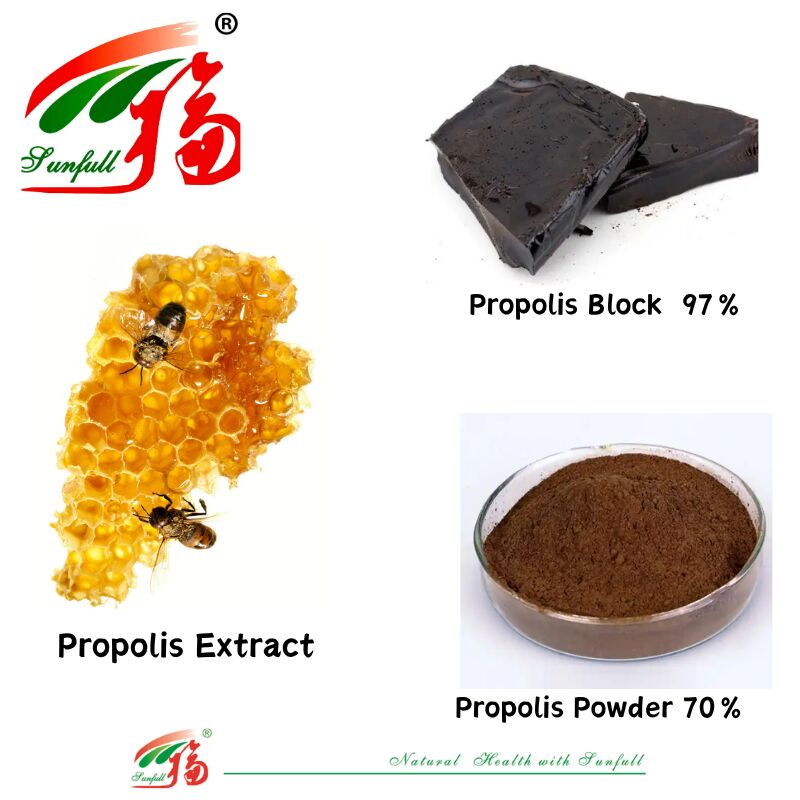 Diyet Takviyeleri/Eczacılık Flavonoidler açısından zengin 10% - 20% Suda çözünür Propolis Blok 97% / Propolis Tozu 70% Propolis Ekstraksi